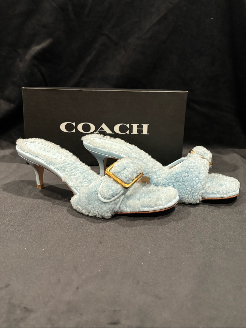 COACH Light Blue Shearling Buckle Mid-Heel Mules